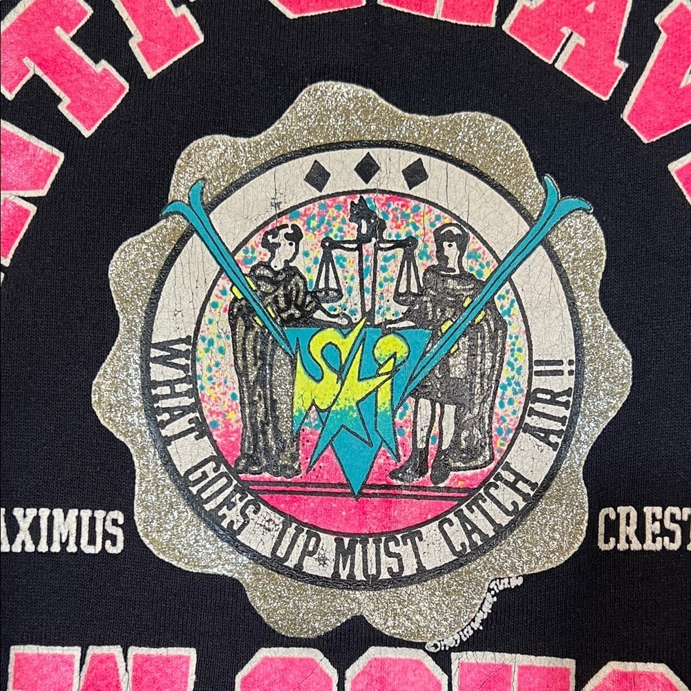 Vintage Fruit of the Loom Graphic Sweatshirt – Crested Butte Anti-Gravity - Picture 3 of 8